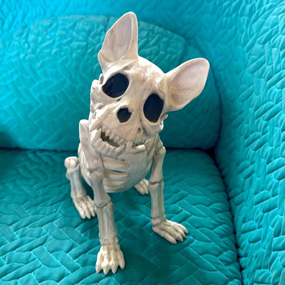 LUC frenchie/boston plastic skeleton Halloween goth cute sitting